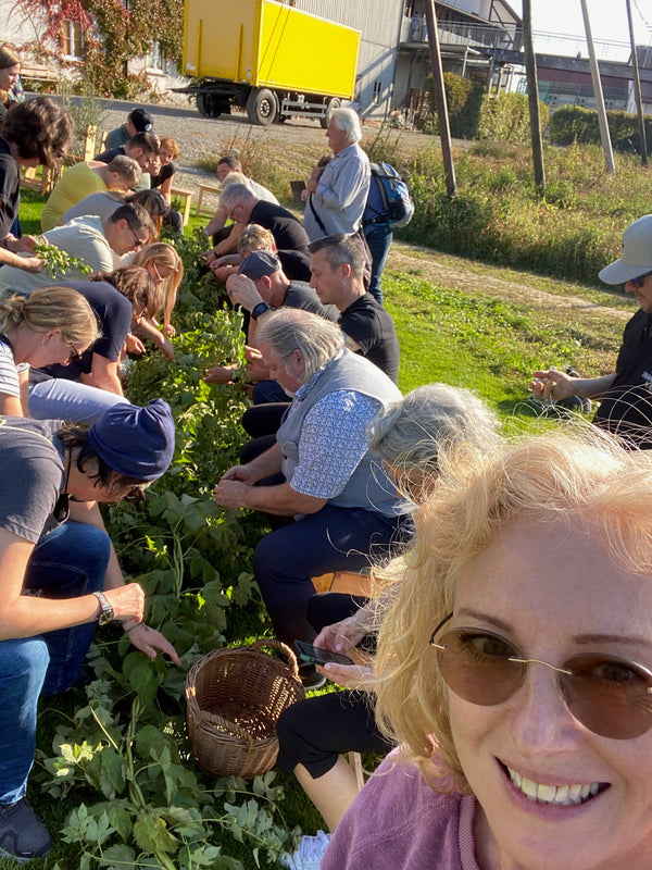 Herbsttreffen der Biersommeliers in Baden-Württemberg: Ein Wochenende voller Hopfen, Bier und Austausch