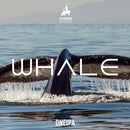Yankee & Kraut WHALE